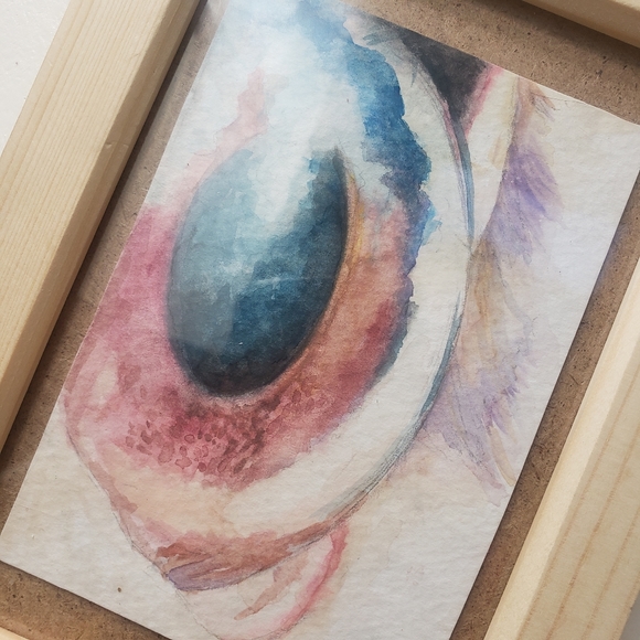 Owl Eye Watercolor Framed original artwork
